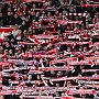4.2.2017  FC Rot-Weiss Erfurt vs. FSV Frankfurt 1-0_44